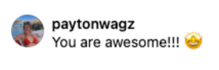 User Paytonwagz commented on Instagram You are awesome Star Struck emoji